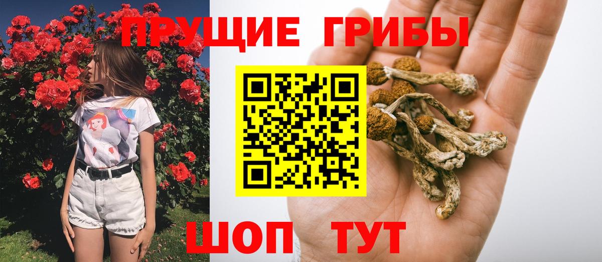 Псилоцибиновые грибы мухоморы  Вход с VPN  Серпухов 
